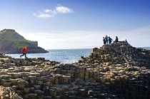 Giant's Causeway Tour